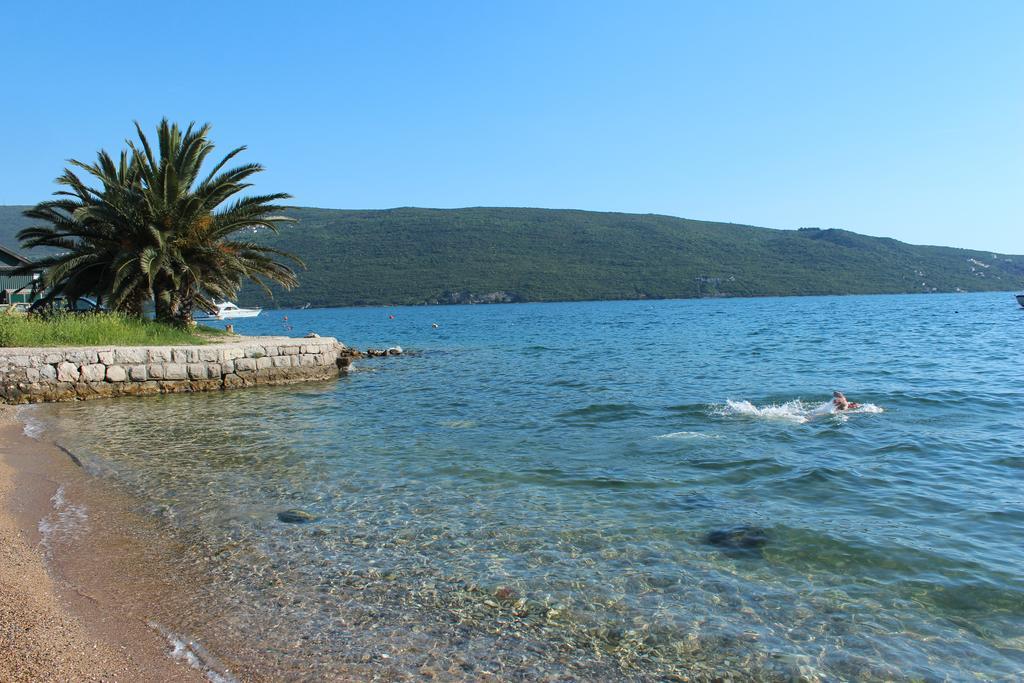 Apartment Vinograd Herceg Novi Dış mekan fotoğraf